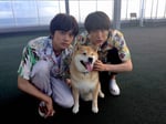 左から北村匠海、湘南のワンコ、中川大志。（写真提供：NHK）