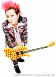 hide