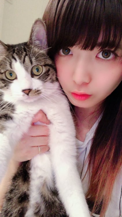 小鳩ミクとトラ男。