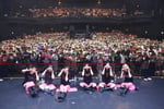 「OH MY GIRL Zepp LIVE TOUR 2019 'starlight'」Zepp Tokyo公演の様子。（写真提供：ソニー・ミュージックレーベルズ）