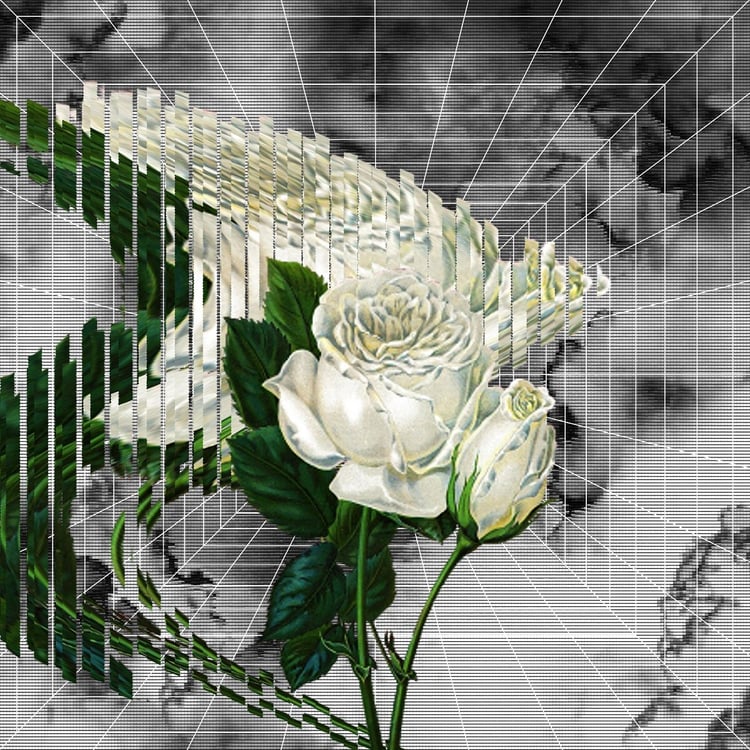 Ryohu「Flower」配信ジャケット