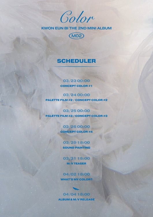 クォン・ウンビの活動スケジュールをまとめたビジュアル。