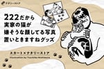 スカート×ナタリーストア「222だから実家の猫が嫌そうな顔してる写真置いときますね」告知ビジュアル