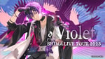 志麻「SHIMA LIVE TOUR 2023 ～Violet～」メインビジュアル