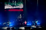 「SID 20th Anniversary TOUR 2023 『海辺』」Zepp DiverCity（TOKYO）公演の様子。（撮影：今元秀明）