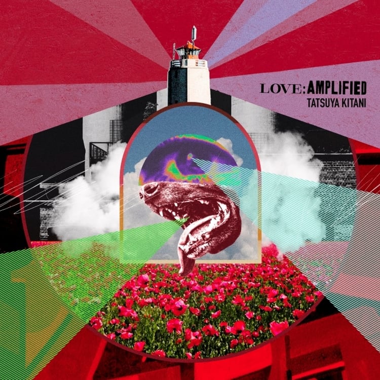 キタニタツヤ「LOVE: AMPLIFIED」ジャケット