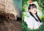 左からまじゅまろちゃん、伊達花彩。