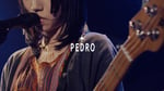 「PEDRO / さすらひ [午睡から覚めたこどものように @ 新代田FEVER] with interview」より