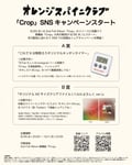 「オレンジスパイニクラブ『Crop』SNSキャンペーン」告知ビジュアル