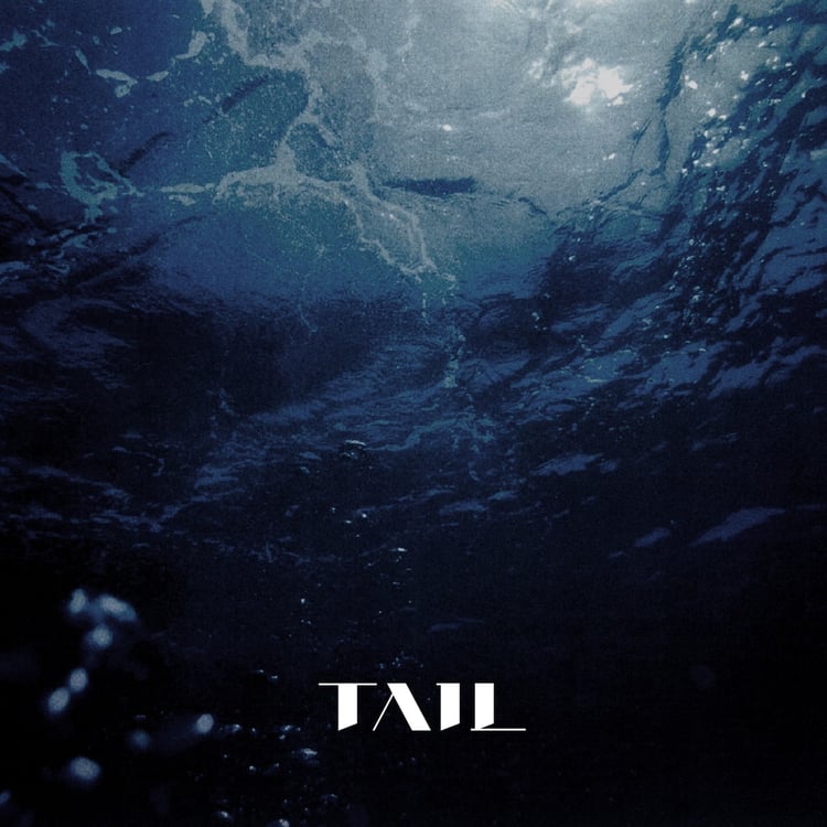 TAIL「Fundus」ジャケット