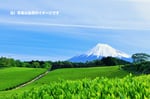 “静岡の自然”のイメージ写真
