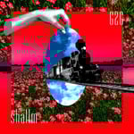 shallm「G2G」配信
ジャケット