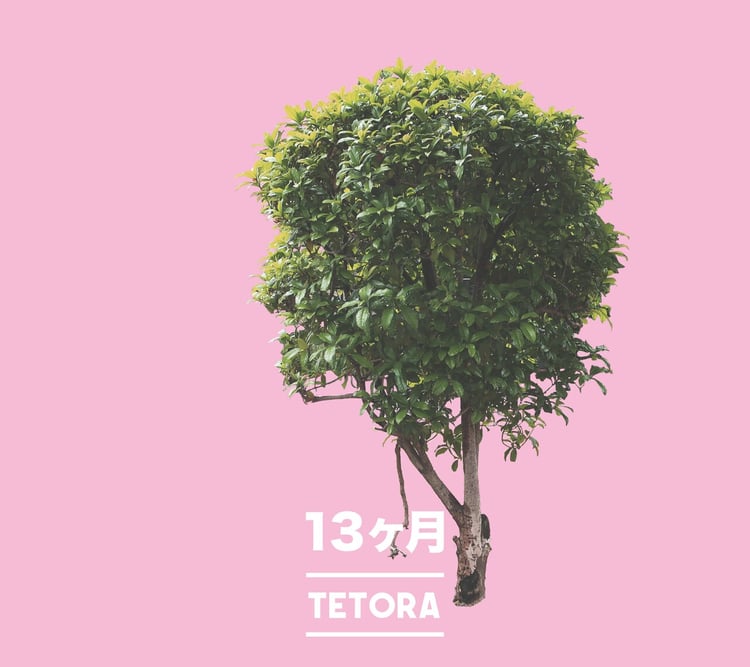 TETORA CD アルバム4枚セット tetora TETORA アルバム4枚 CDアルバム｜TETORA｜商品一覧｜HMV&BOOKS