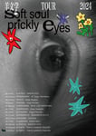 「羊文学 TOUR 2024 "soft soul, prickly eyes"」ビジュアル