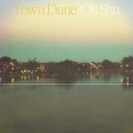 王舟「Town Dune」配信ジャケット