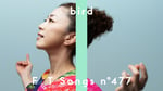 「bird - 空の瞳 / THE FIRST TAKE
」サムネイル