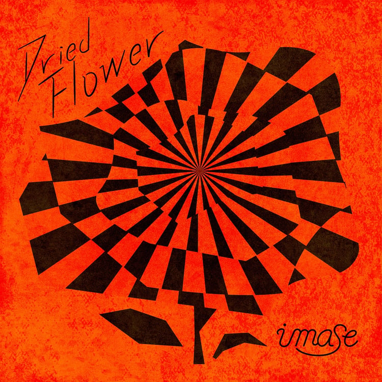 imase「Dried Flower」ジャケット