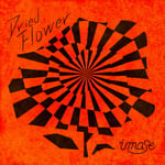 imase「Dried Flower」ジャケット