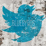 BLUEBYRDS「BLUEBYRDS」配信ジャケット