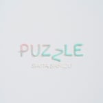 清水翔太「PUZZLE」ジャケット