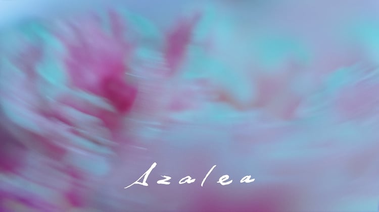 米津玄師「Azalea」ミュージックビデオより。