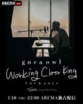 「guca owl『Working Class King』TOUR 2024」配信告知ビジュアル