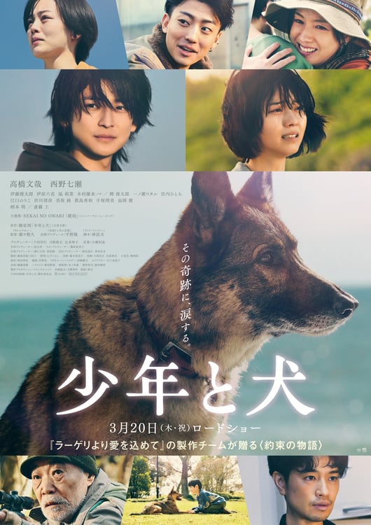 映画「少年と犬」ポスタービジュアル (c)2025映画「少年と犬」製作委員会