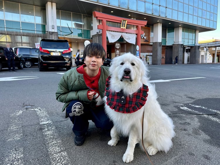 増田貴久（NEWS）とグレートピレニーズのアドくん。 ©日本テレビ