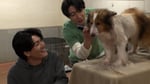 シェルティをトリミングする森本慎太郎（左）、相葉雅紀（右）。©日本テレビ