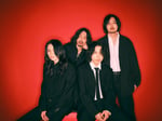 The Novembers