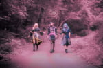 THE PINK MINDS