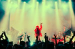 カメレオン・ライム・ウーピーパイ「ONE-MAN LIVE 2025 "WHOOPIE in the JUNGLE"」東京公演の様子。（Photo by Ray Otabe）