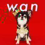 M!LK「wan」ジャケット