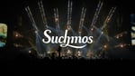 Suchmos「Whole of Flower」ライブ映像より。