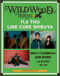 「WILD WOOD TOKYO 2025」告知ビジュアル