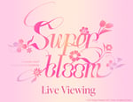 「Starry Symphony - Superbloom-」ロゴ