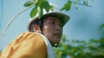 「キリンビール 晴れ風」新テレビCMより。