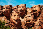 MAN WITH A MISSION