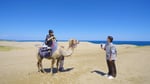 「旅するSnow Man - Traveling with Snow Man -」より。(c)日本テレビ