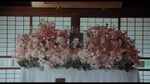 MONO NO AWARE「走馬灯」ミュージックビデオのサムネイル。
