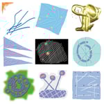 蓮沼執太「蓮沼執太のBGM by Shuta Hasunuma」ジャケット