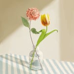 阿部真央「Ding-dong」ジャケット