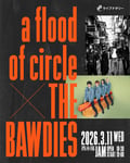 「ライブナタリー “a flood of circle × THE BAWDIES”」キービジュアル