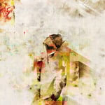 Campanella「Celosia」ジャケット