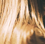 kanekoayano「日本武道館 LIVE 2026 kanekoayano」配信ジャケット