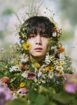 ドラマ「一次元の挿し木」ビジュアル ©読売テレビ