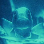 Bialystocks「一瞬」配信ジャケット