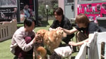 保護犬とふれあう相葉雅紀、山中柔太朗、佐野勇斗。©︎日本テレビ