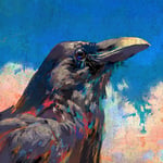 米津玄師「烏」配信ジャケット（Illustration by 米津玄師）