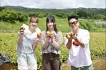 左から、櫻坂46の田村保乃と大園玲、そしてMCの宮川大輔。©︎日本テレビ